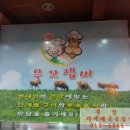 목장원무꼬잽비 네이버블로그