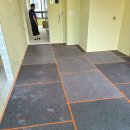 모글리몽 이미지