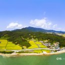 녹차골화원 이미지