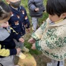 꽃바위유치원 이미지