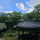 세진포토 이미지
