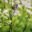 우석대학교 교육대학원 이미지
