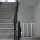 도그힐튼 이미지