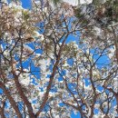 적중농장 이미지