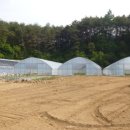 원경농장 이미지