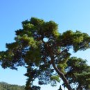 새내역사체험마을 이미지