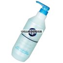 ▶[알앤비] 피톤테라피 페퍼민트 쿨 샴푸 1.000ml \8,000 → 4,900원 이미지