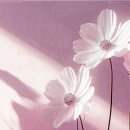 애프터눈성형외과의원 이미지