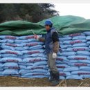 하루를봄 이미지