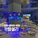 쉘리케이크 | 수서 율현동 맛집 대규모 해수 카페 쉘리 식사 후기