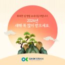 성모오케이정형외과의원 네이버블로그