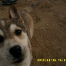 원두공원 이미지