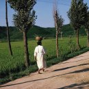 수원-1960 이미지