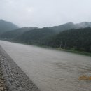 [08월03일(수)] 제76회차:영월 서만이강 강변 트레킹 이미지