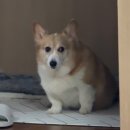 스마일365치과의원 이미지