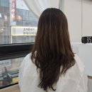 청주 동남지구 미용실 인생머리 전체 염색 후기
