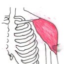 삼성전자OK한의원 이미지