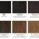 고운머리 | 집게가발 고운머리 포니테일 가발로 거지존 탈출한 후기