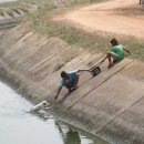 동물을사랑하는사람들 이미지