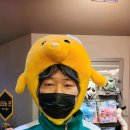 대한오토바이 이미지