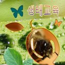 GTQ그래픽기술자격 | GTQ그래픽기술자격 1급 합격 후기ㅣ25년6월응시