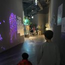 대왕아쿠아랜드 | [대전/유성구] 대전엑스포아쿠아리움 대전아쿠아리움 신세계아쿠아리움 할인정보 공연및체험 대전아이랑