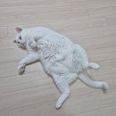 보야르 | 무려 한달만에 올리는 일상사진 모음zip