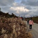 성암동패총 이미지