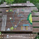 DMZ펀치볼둘레길_먼멧재길_3 Daum카페