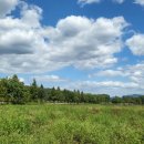 신소양체육공원 이미지