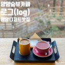 책의숲 | 양양 카페 로그 log 책읽기 좋은 숲뷰카페 내돈내산 후기