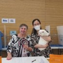 달보드레/루체레 이미지