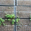 한몽농장 이미지