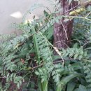 월락초등학교 이미지