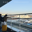 세븐일레븐 부산역점 | 부산항 국제여객터미널 후쿠오카 출국수속, 인터넷면세점 인도장, 입국시 픽업도 가능해요