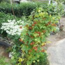 상대촌마을 이미지