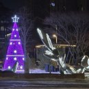 회상 - 박강수 이미지