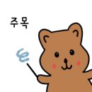 다온 합기도 이미지