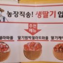 와플대학양천구청캠퍼스