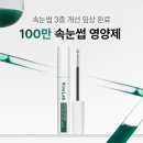 속눈썹 눈썹 헤어라인까지! 바이브랩 리바이브 세럼 솔직 후기