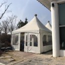 밥집 콩 이미지