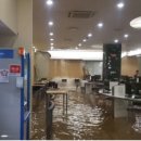 중앙도서관 지하1층 이미지