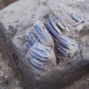 말무덤 | 1,400년 전 일본 군마현 사람 무덤에 매장한 말 한 마리