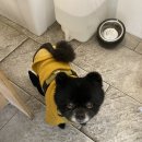 더니커피
