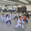 용인대백호태권도장 이미지