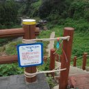 제주 올레길 8코스 이미지