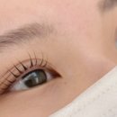 파니브로우