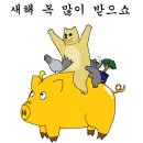 바디핏 이미지