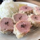 카츠올로지