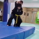 탑특공무술